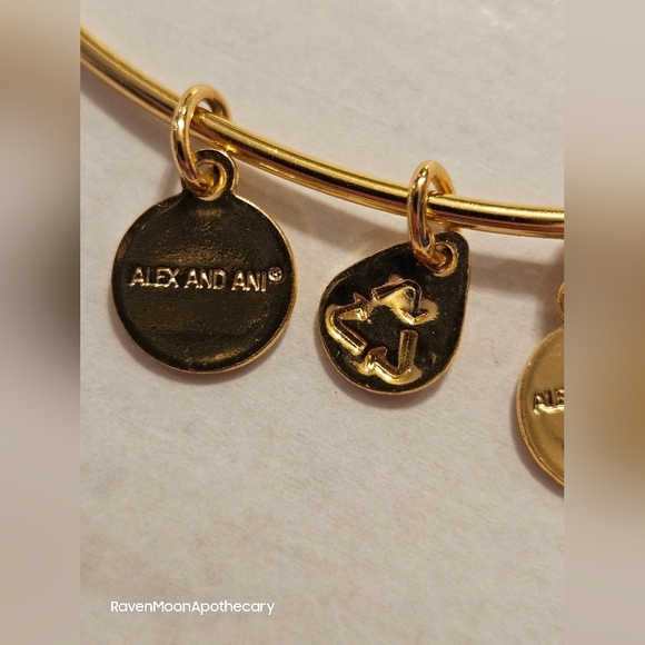 Alex and Ani U.S. Army Bracelet - Picture 6 of 8